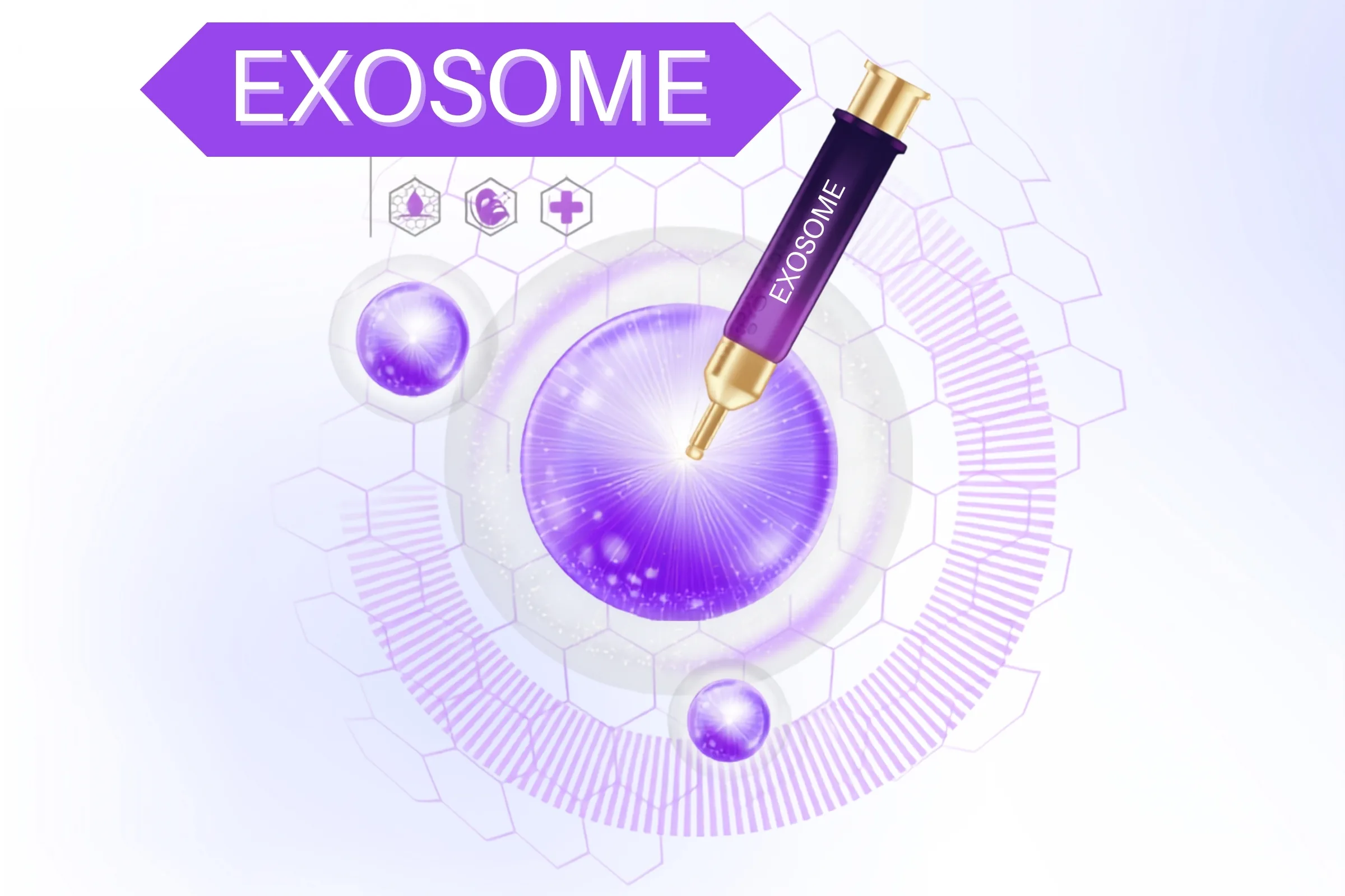Exosome