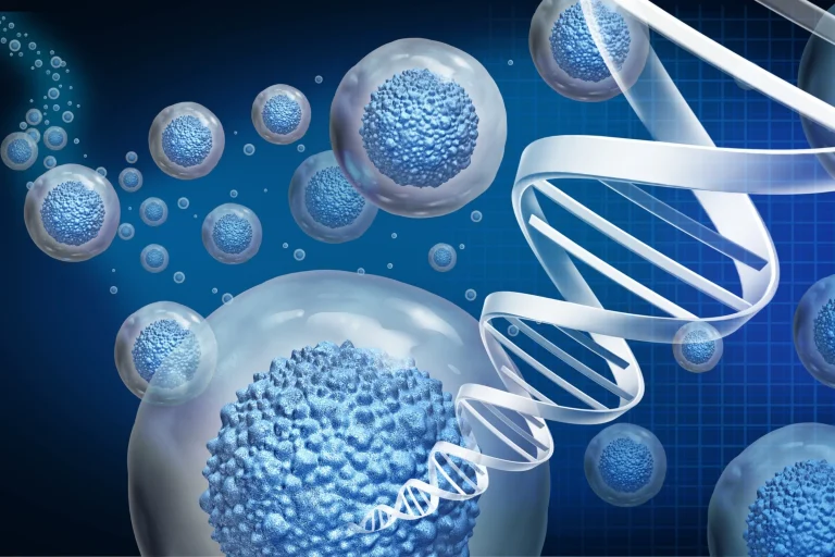 Stem Cell Therapy Stem Cell Therapy