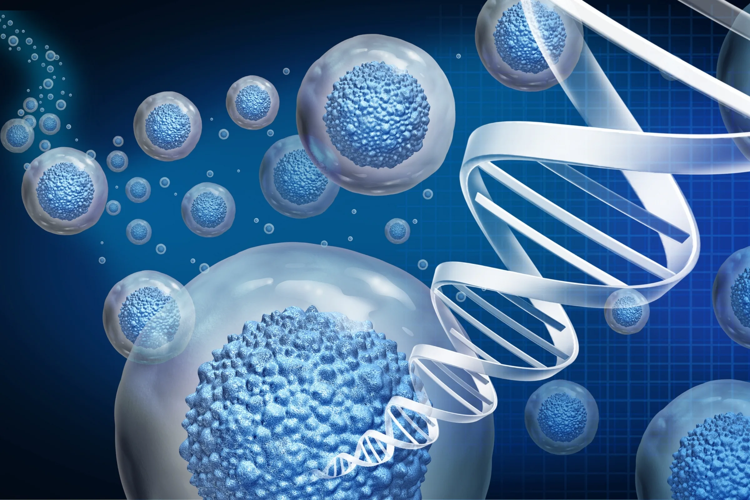 Stem Cell Therapy