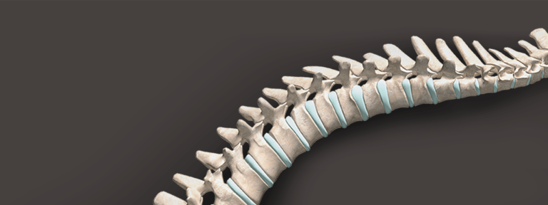 A Guide to the Functionality of Your Spine 